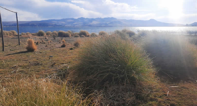 Playa Wichinka del Wiñaymarka am Südufer des Titicacasees