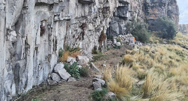 Qawrani Tiyi De Ayrumas Carumas