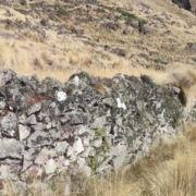 Sitio arqueológico Killi Killi – asentamiento preincaico sobre Macusani