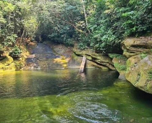 Tobogán Natural de Iscozacín – tobogán de agua en la selva de Palcazú Tobogán Natural de Iscozacín – tobogán de agua en la selva de Palcazú