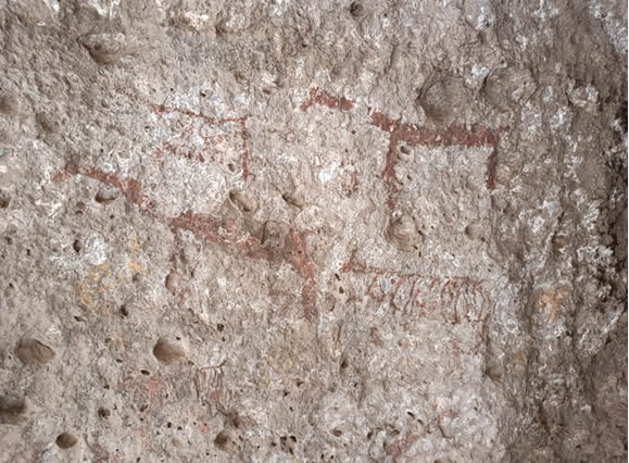 Tarucas, Kameloiden und prähistorische Herden