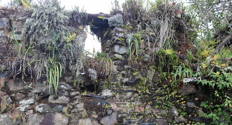 Archäologische Stätte Illingaya auf einem schmalen Bergrücken über dem Tal des Río Ollachea in Carabaya, Puno