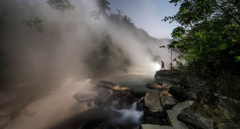Primärwald am Flussufer